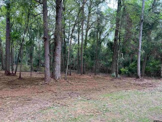 TBD County Road 2603, Pittsburg, TX 75686