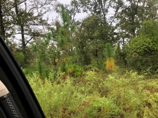 0 SW Forest Rd 180 Rd, Bristol, FL 32321