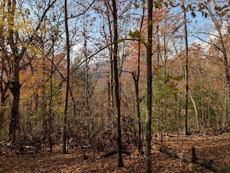 902 Mountain Top Dr, Murphy, MD 20906