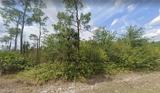 1015 Michael Ave, Lehigh Acres, FL 33936