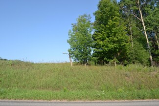 00 VL P #1 190th Ave, Big Rapids, MI 49307