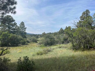 257 E Arbol Park Dr, Chromo, CO 81128