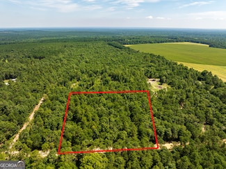 4 ACRES Allen Chapel Rd, Waynesboro, GA 30830