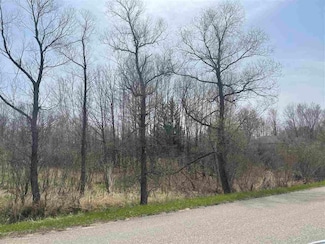 259 Islanders Way, Gladwin, MI 48624