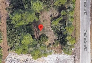 762 Harriet Ave SW, Palm Bay, FL 32908