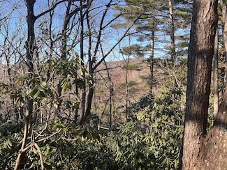 TBD Rock Ledge Trail, Fancy Gap, VA 24328