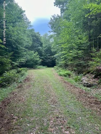 Tbd Railroad Rd, Hunter, NY 12450