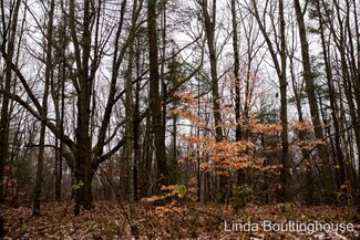 0 E Pakes Rd, Crystal, MI 48818