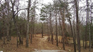 160 Raybrook Ct, Taylors, SC 29687