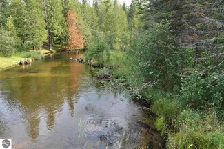 000 Cameron Bridge Rd, Frederic, MI 49733