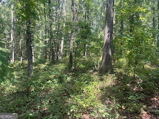 6 Acres Henry Scott, Ball Ground, GA 30107