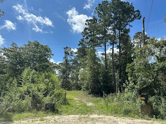 170 Pressley Ln, Hephzibah, GA 30815