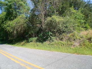 0 Christian Life Rd Unit 19.5, Defuniak Springs, FL 32433