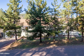 8096 W Parkinson Dr, Pine, AZ 85544