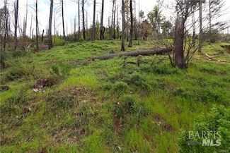 11541 Anderson Springs Rd, Middletown, CA 95461