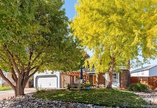 5005 S Braun St, Morrison, CO 80465