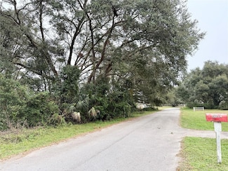 0 Hilda Rd Unit MFRTB8334007, Ridge Manor, FL 33523