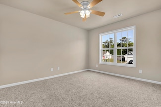 701 Bay Willow Ct, Hubert, NC 28539