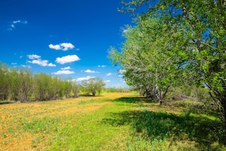 County Road 315w, Charlotte, TX 78011
