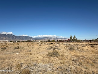 2588 Precision Dr, Minden, NV 89423