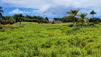 31-154 Hawai?i Belt Rd, Ninole, HI 96773