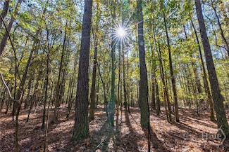 0 Wilson Unit CL343171, Arnoldsville, GA 30619