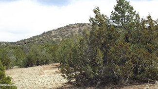 1340 E Broken Wheel Rd, Williams, AZ 86046