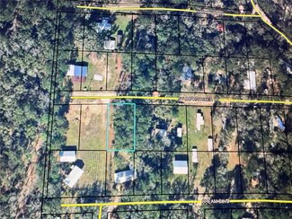 TBD Stumpknocker Trail, Vernon, FL 32462