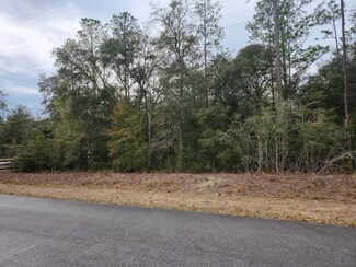 0 SW Hunter Hill Ave Unit MFROM697070, Dunnellon, FL 34431