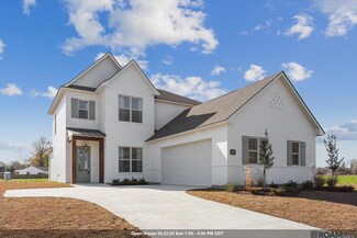 36265 Belle Parc Ave, Geismar, LA 70734
