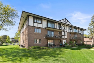 11015 S Theresa Cir Unit 3, Palos Hills, IL 60465