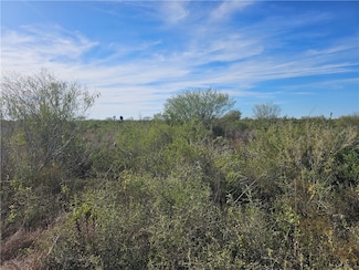 11 County Road 1431, Alice, TX 78384