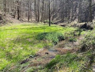 0 Valley Springs Way Unit 244074, Sevierville, TN 37862
