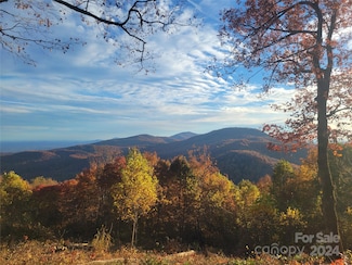 99999 High Cliffs Trail Unit 5, Black Mountain, NC 28711