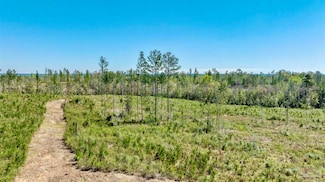 Lot 3-C Cotton Lake Rd, Molino, FL 32577