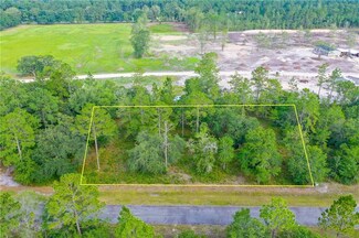 00 Tree Top Ln, Jesup, GA 31545
