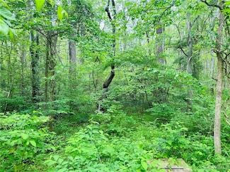 0 Pouncey Tract Rd Unit 2508498, Hanover, VA 23146