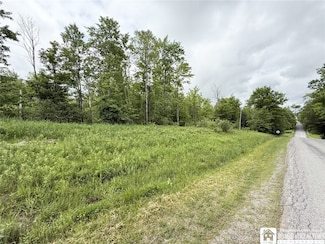 0 Luce Rd, Ellery, NY 14712