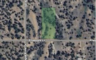 0 Pheasant Unit 27, Sprague River, OR 97639