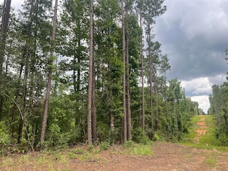 #7 Lawler Rd, Lumberton, MS 39455