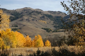 HES 503 Antelope Creek Rd, Moore, ID 83255