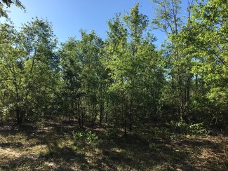 00 Nichols Rd, Bascom, FL 32423
