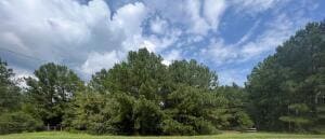 4686-4712 Double Branches Rd, Lincolnton, GA 30817