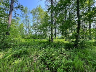 Lot  19A Intervale Rd, Bethel, ME 04217