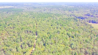 Tbd S Cr 245, Kilgore, TX 75662
