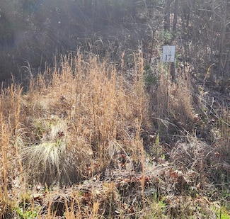 Lot 17 Lost Indian Trail, Whittier, NC 28789