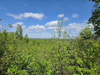 0 Leigh Mountain Rd Unit 23293172, Prince Edward, VA 23942