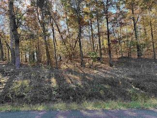 5 Woods Cliff Ln, Savannah, TN 38372