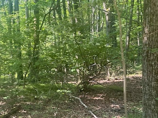 Lot#179 Mockingbird Cir, Lincoln Township, MI 48622