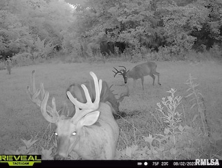 000 County Highway 7 County Rd, Cisne, IL 62823